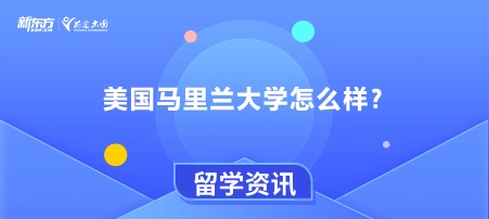 美国马里兰大学怎么样？