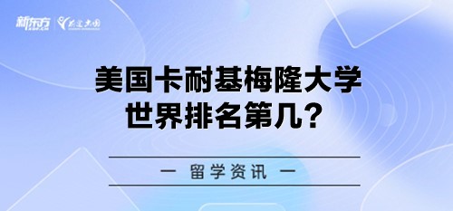 美国卡耐基梅隆大学世界排名第几？