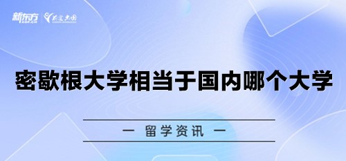 密歇根大学相当于国内哪个大学？