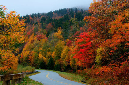 蓝色山脊公园道Blue Ridge Parkway