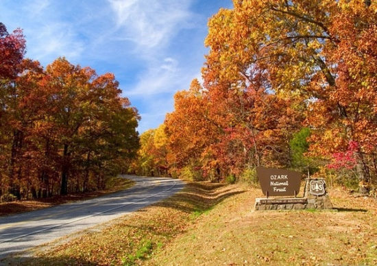 Pig Trail Byway (Hwy 23)， Arkansas