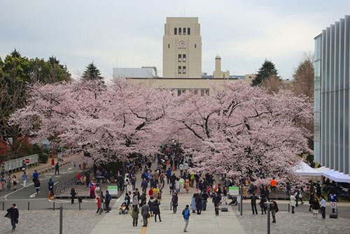 东京大学3.jpg